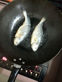 养生食谱大放送