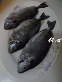 养生食谱大放送