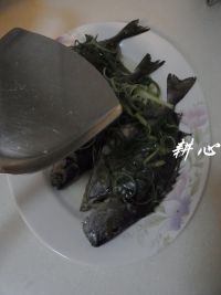 养生食谱大放送