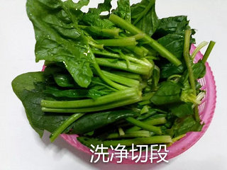 榨<a href=/shicai/shucai/BoCai/index.html target=_blank><u>菠菜</u></a>汁