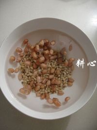 养生食谱大放送