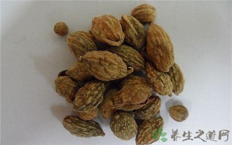 夏天吃什么益气提神 推荐6个食疗