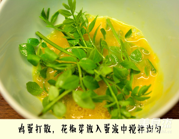#北京小吃#炸花椒芽的做法