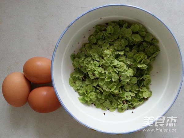 榆钱蛋饼的做法