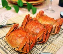 【清蒸大闸蟹是哪个地方的菜】清蒸大闸蟹的做法_清蒸大闸蟹营养价值