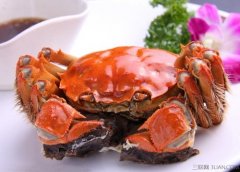 阳澄湖大闸蟹什么时候最好吃？