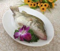 【桂鱼的做法】桂鱼的家常做法_桂鱼的做法大全