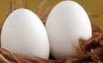 胆结石能吃鸡蛋吗