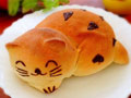 超萌猫咪面包的做法