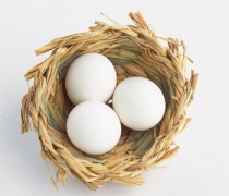 【鸡蛋的营养价值】鸡蛋的营养成分