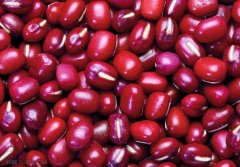 赤小豆和红豆有什么区别