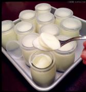 酸香甜美 自制酸奶的做法