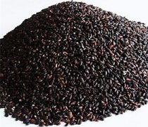 【黑糯米】黑糯米的功效与作用_黑糯米和黑米的区别