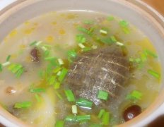 甲鱼清汤的做法