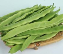 【小扁豆的做法】小扁豆的功效与作用_小扁豆的副作用