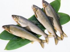 秋刀鱼的营养价值和功效