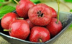 老人吃什么水果可以降血压