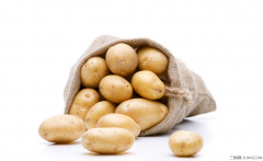 土豆的营养价值分析
