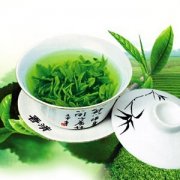 【绿茶的冲泡方法】绿茶的泡法