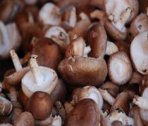 【香菇的营养价值】香菇的功效与作用