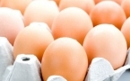肾结石能吃鸡蛋吗