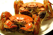 螃蟹做法与吃法