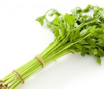 【细芹菜的做法大全】细芹菜的营养价值_细芹菜叶可以吃吗