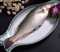 【海鲈鱼的做法】海鲈鱼的营养价值_海鲈鱼怎么去腥
