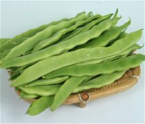 【炒扁豆的功效与作用】扁豆的种类有哪些_扁豆怎么做好吃