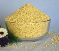 【小米薏米粥的功效】小米薏米粥的营养价值_小米薏米粥怎么煮