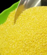 【糯小米和小米的区别】糯小米和小米的功效_糯小米和小米的做法