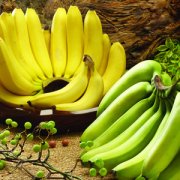 【香蕉什么时候吃治便秘】香蕉怎么吃能治便秘_吃哪种香蕉能治便秘